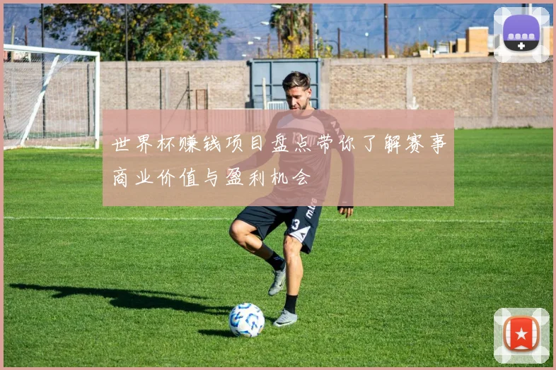 世界杯赚钱项目盘点带你了解赛事商业价值与盈利机会