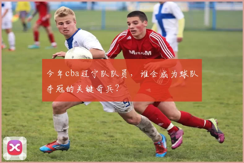 今年cba辽宁队队员，谁会成为球队夺冠的关键奇兵？